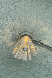 Daphne Ceiling Light