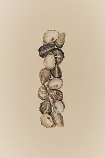 Eden Column - Series 01