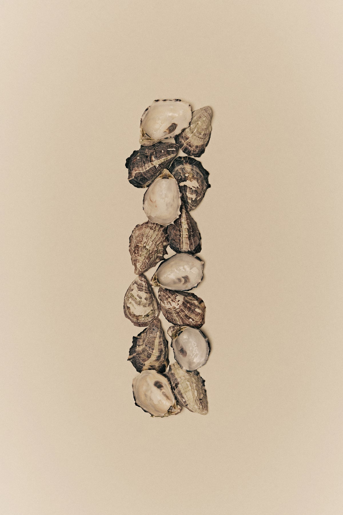 Eden Column - Series 01