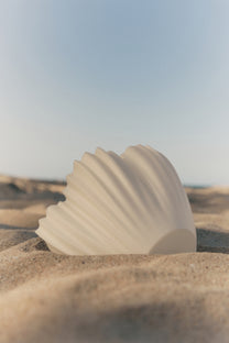 Arielle Wall Light - Series 01